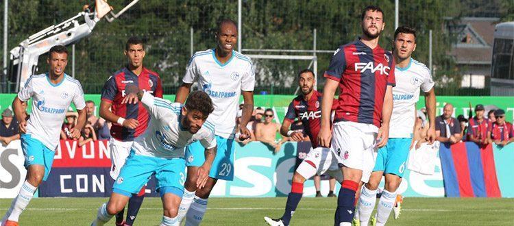 Schalke Bologna Schalke Bologna