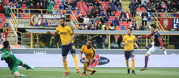 Il Verona torna a Bologna dopo quasi due anni, l'ultimo precedente è un 2-0 per i rossoblù