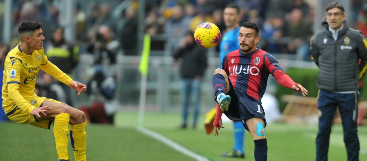 Seduta di scarico per i titolari di Bologna-Verona, da valutare le condizioni di Sansone