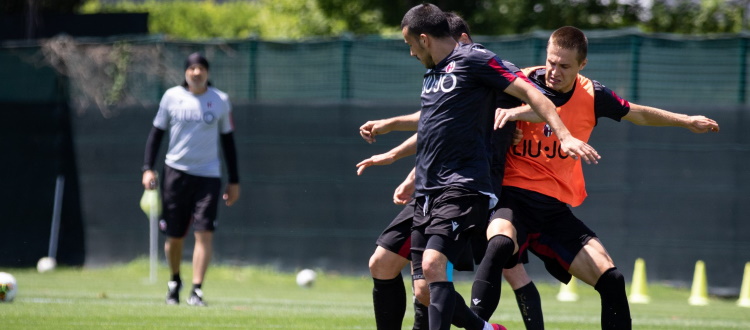 Seduta tecnico-tattica e partitella per il Bologna, domani nuovo allenamento al Dall'Ara