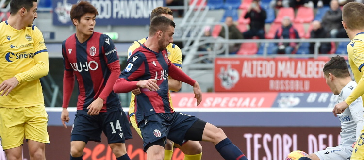 In Serie A 9 vittorie del Bologna e 4 del Verona, 8 i pareggi. Al Dall'Ara si riparte dall'1-1 del 19 gennaio 2020