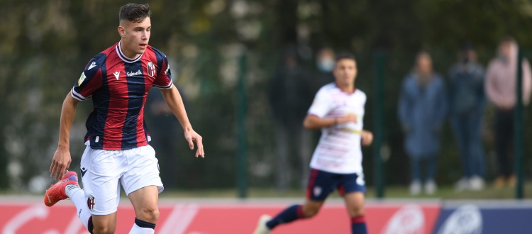 Bologna, contro il Torino niente Arnautovic e Vignato. Tra gli attaccanti convocato il giovane Raimondo