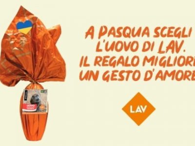 A Pasqua scegli l'uovo di LAV. Il regalo migliore, un gesto d'amore!