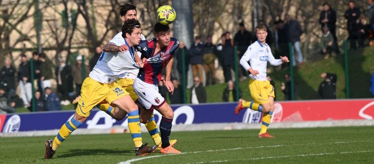 Il Bologna Primavera si ferma dopo 6 risultati utili di fila: Frosinone corsaro 2-0 a Casteldebole. Vigiani: "Partita dominata, dispiace"