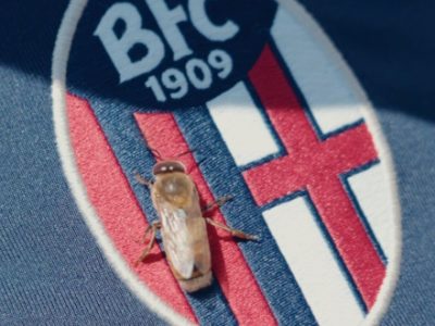 BeeFC: il Bologna inaugura un apiario per la tutela delle api e della biodiversità