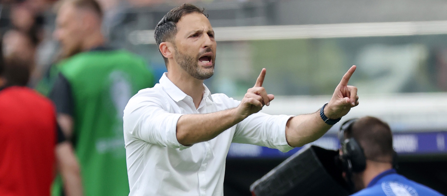 Nicolodi: 
